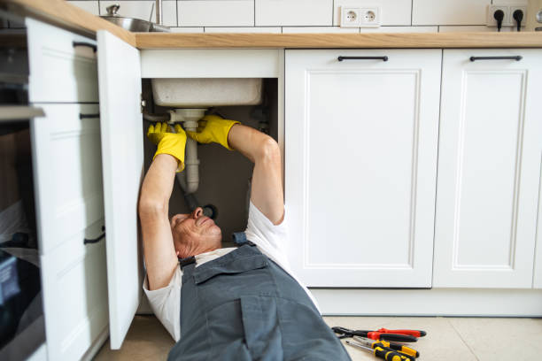 Best Local Plumber Services  in Paul, ID
